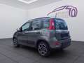 Fiat Panda 1,0 FireFly Hybrid Grau - thumbnail 3