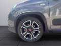 Fiat Panda 1,0 FireFly Hybrid Grau - thumbnail 18