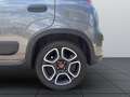 Fiat Panda 1,0 FireFly Hybrid Grau - thumbnail 19