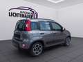 Fiat Panda 1,0 FireFly Hybrid Grau - thumbnail 5