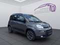 Fiat Panda 1,0 FireFly Hybrid Grau - thumbnail 7