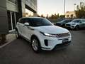 Land Rover Range Rover Evoque Range Rover Evoque 2.0D I4-L.Flw 150 CV AWD Auto S Weiß - thumbnail 3