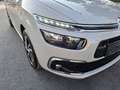 Citroen C4 Picasso BlueHDi 120 S&S EAT6 Feel - thumbnail 6