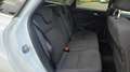 Ford Focus Wagon 1.5 Titanium Edition ST-Line Weiß - thumbnail 13