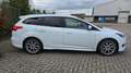 Ford Focus Wagon 1.5 Titanium Edition ST-Line Weiß - thumbnail 7