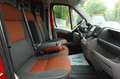 Fiat Ducato Kasten 28 100/ 1Hand/ Kasten/ 3xKopf/ TOP Rouge - thumbnail 15