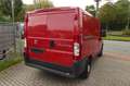 Fiat Ducato Kasten 28 100/ 1Hand/ Kasten/ 3xKopf/ TOP Rouge - thumbnail 6