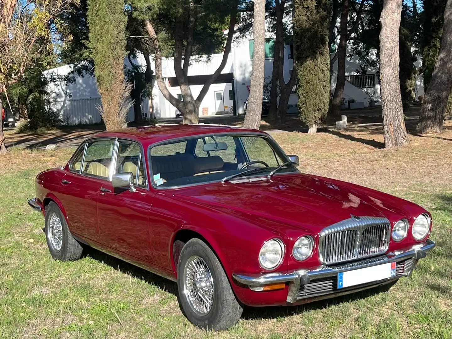 Daimler Sovereign 4,2l Czerwony - 1