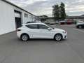 SEAT Leon 2.0 TDI Style 75€ m. 20% Anzahlung DAB LED SHZ P Weiß - thumbnail 6
