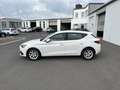SEAT Leon 2.0 TDI Style 75€ m. 20% Anzahlung DAB LED SHZ P Weiß - thumbnail 3