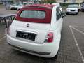 Fiat 500 Turbo Cabrio Weiß - thumbnail 6