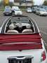 Fiat 500 Turbo Cabrio Weiß - thumbnail 9
