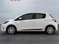 Toyota Yaris Yaris 5p 1.5h Active my18 - thumbnail 4