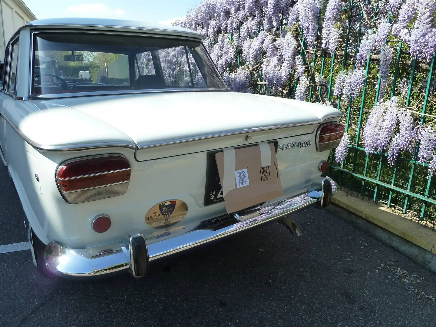 Fiat 1500 BERLINA Weiß - 2