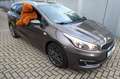 Kia Ceed / cee'd sw Edition 7 Braun - thumbnail 3