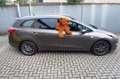 Kia Ceed / cee'd sw Edition 7 Braun - thumbnail 9