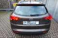 Kia Ceed / cee'd sw Edition 7 Braun - thumbnail 28
