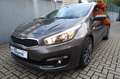 Kia Ceed / cee'd sw Edition 7 Braun - thumbnail 30