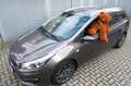 Kia Ceed / cee'd sw Edition 7 Braun - thumbnail 24
