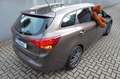 Kia Ceed / cee'd sw Edition 7 Braun - thumbnail 4
