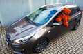 Kia Ceed / cee'd sw Edition 7 Braun - thumbnail 1