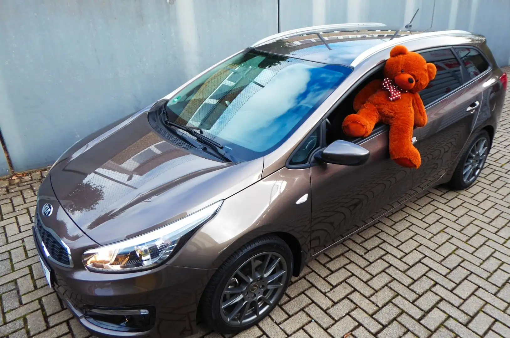 Kia Ceed / cee'd sw Edition 7 Braun - 1