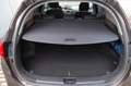 Kia Ceed / cee'd sw Edition 7 Braun - thumbnail 13
