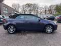 Volkswagen Golf GOLF VI CABRIO 2.0 TDI BMT LEDER NAVI SHZ TEMPO. Violett - thumbnail 11