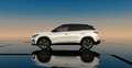 Renault Austral Techno Esprit Alpine 160 Auto. Navi/PDC Blanc - thumbnail 2