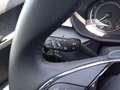 Skoda Fabia 1.0 Ambition LED Klima DAB GRA PDC KLIMA L Negro - thumbnail 21
