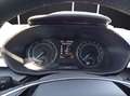 Skoda Fabia 1.0 Ambition LED Klima DAB GRA PDC KLIMA L Negro - thumbnail 19