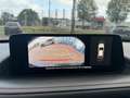Mazda CX-30 2.0L e-SKYACTIV G 122ps Homura Allwetterreifen Bleu - thumbnail 24