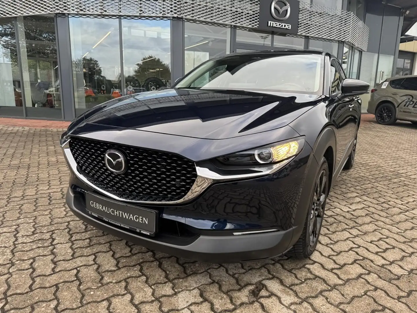 Mazda CX-30 2.0L e-SKYACTIV G 122ps Homura Allwetterreifen Bleu - 2