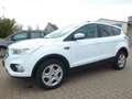 Ford Kuga Trend TOP ZUSTAND !!! Weiß - thumbnail 3