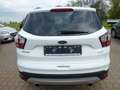 Ford Kuga Trend TOP ZUSTAND !!! Weiß - thumbnail 6