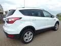Ford Kuga Trend TOP ZUSTAND !!! Weiß - thumbnail 5