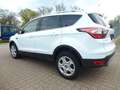 Ford Kuga Trend TOP ZUSTAND !!! Blanc - thumbnail 4