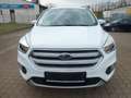 Ford Kuga Trend TOP ZUSTAND !!! Weiß - thumbnail 2