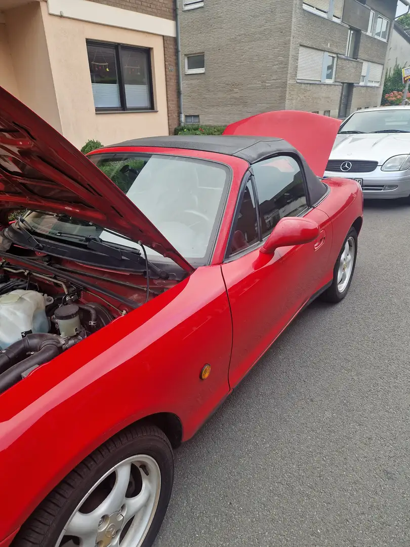 Mazda MX-5 MX-5 1.6i 16V Rojo - 2