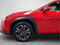 Lexus UX 250h Premium 4WD - thumbnail 16
