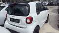 smart forTwo Varie smart disponibili chiamare per info Bianco - thumbnail 3