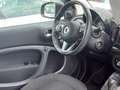 smart forTwo Varie smart disponibili chiamare per info Bianco - thumbnail 4