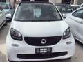 smart forTwo Varie smart disponibili chiamare per info Bianco - thumbnail 1
