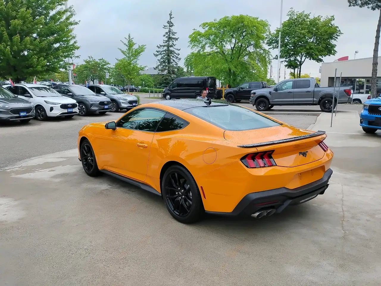 Ford Mustang fotografie Ford Mustang