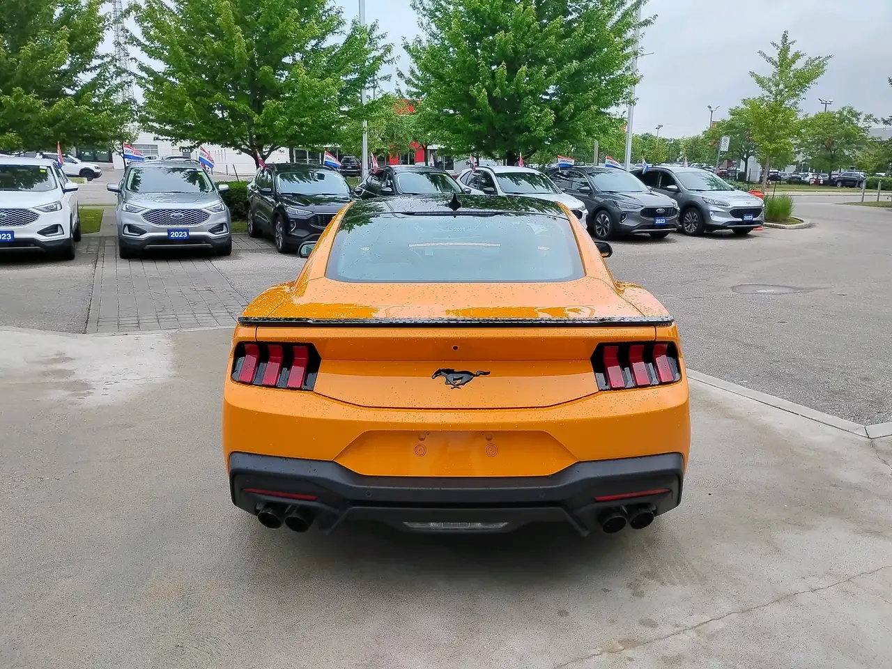 Ford Mustang fotografie Ford Mustang
