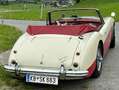 Austin-Healey 3000 MK II Beige - thumbnail 3