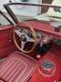 Austin-Healey 3000 MK II Beige - thumbnail 10