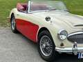 Austin-Healey 3000 MK II Beige - thumbnail 6