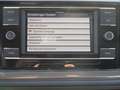 Volkswagen Polo 1.0 TSI DSG R-LINE LED SITZHZG LM17 Grau - thumbnail 12