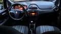 Fiat Punto Evo Punto III 2012. Evo 5p 1.2 Dynamic - thumbnail 10